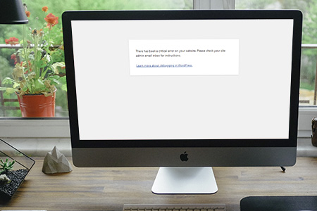 Fix WordPress Critical Error Fix WordPress Critical Error